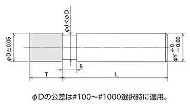 RAS 形状図