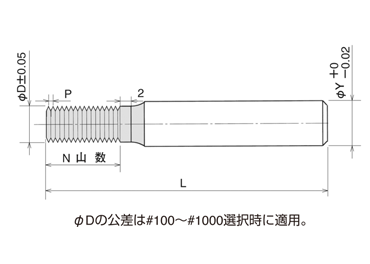 RN1 形状図